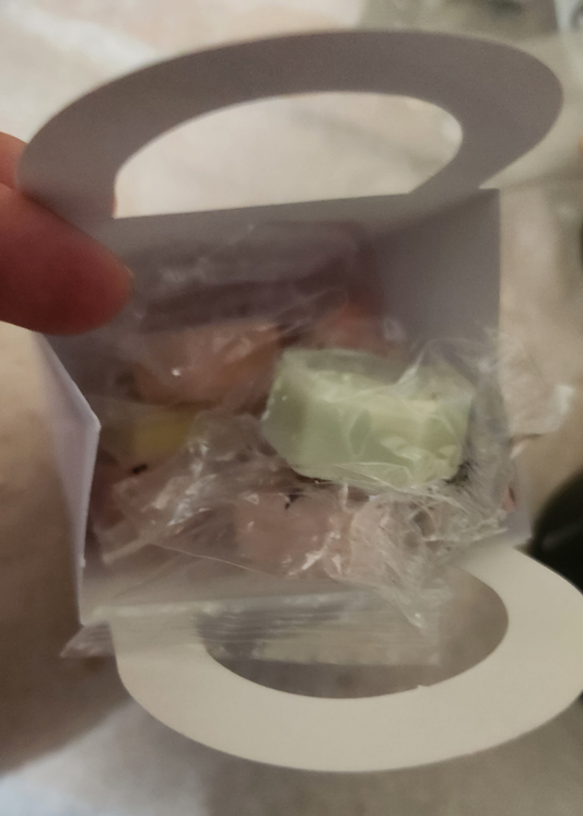 Scent sampler