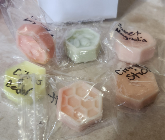 Scent sampler